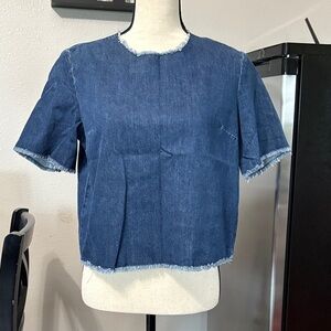 Women’s Topshop Size 6 Distressed Denim Cropped Tee